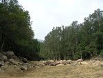 DSCN1049