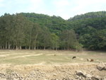DSCN1059