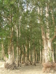 DSCN1062