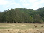 DSCN1064