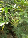 DSCN1071