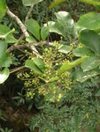 DSCN1072