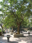 DSCN1089