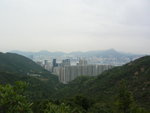 DSCN1354