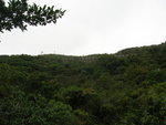 DSCN1363