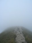 DSCN1549