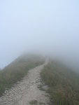 DSCN1552