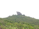 東龍島奇石二, 好似個鷹頭
DSCN2704