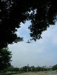 DSCN3295