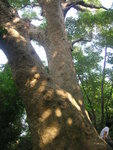 DSCN3434
