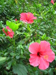 DSCN3438