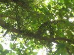 DSCN3443