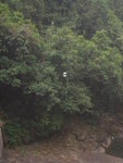 DSCN3512