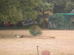 DSCN3661