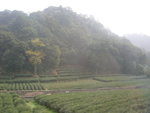 DSCN3669