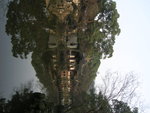 DSCN3807