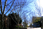 view8
