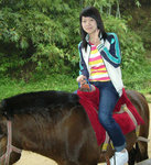 horse