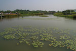 IMG_5827s