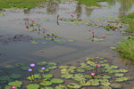 IMG_5829s