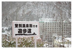登別熊牧場