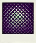 090320_0222-pola