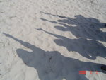 DSC03923