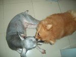 CIMG0209