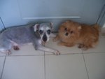 CIMG0391