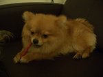 CIMG0957