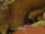 IMG_4758