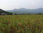 R0010208