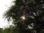 R0010209