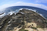 _MG_9537