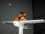 飛天bear bear