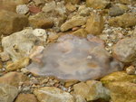 DSC04850