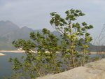 DSC04881