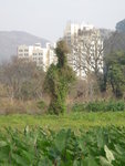 DSC04997