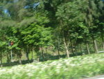 DSC06286
