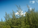 DSC06287