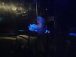 DSC06407