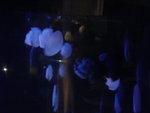 DSC06409