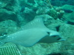 DSC06471