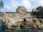 DSC06505