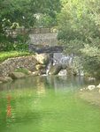 DSC06557