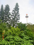 DSC06559