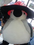DSC06897