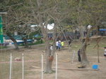 camp.4