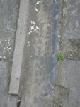 城牆和城樓上的磚~磚上都寫上磚是誰人造的, 用意是如果磚破了, 人的命也保不住了