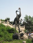 一對黃鶴